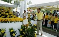 Lawyers’ group to Aquino: Remember Cory, forget Cha-cha