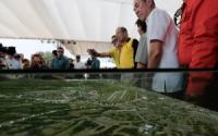 Aquino leads groundbreaking ceremony of Clark Green City