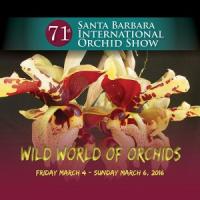 ‘Wild World of Orchids’ arrives March 4-6, 2016