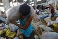 65% of farmers in Yolanda-damaged areas have harvested crops: DA