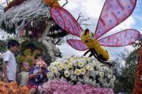 PHL rekindles efforts to measure natural resources for policy dev’t, economic planning