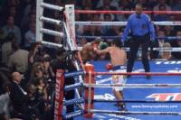Pacquiao reclaims WBO welterweight belt, Bradley undefeated no more