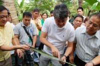 Drilon to PNoy: Time to choose between Procy, Kiko