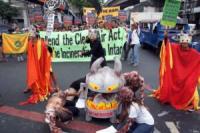 Group slams ‘insincere’ Paje over cutting down of heritage trees at Army Navy Club