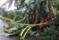 Walang Pasok: Classes suspended in some areas on Monday, Sept. 22