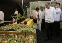 Farmers blame garlic crisis to smugglers, illegal traders