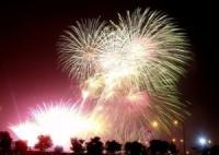 House panel waits for DOF comment on firecracker tax