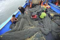 Fish seized from Vietnamese poachers given out to hospitals, charities