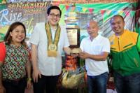 Bam Aquino, 13 others seek clarification, amendments to Senate report on Mamasapano