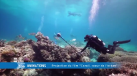 Monaco’s Tubbataha Reef exhibit to come to PH in 2017