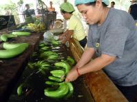 Russia to buy $2.5B in PH agri produce