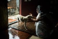 Tacloban City Evacuee Returns Home for Her Dogs during Tropical Storm Urduja