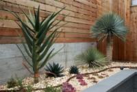 Easy Ways To Have a Gorgeous Garden