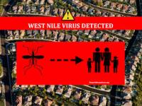West Nile Virus Weekly Update