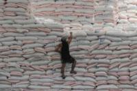 BOC generates P68M from auction of seized Thai rice