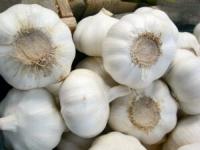High garlic prices caused by collusion, cartel—DOJ