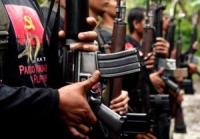 NPA rebels raid two plantations in one day