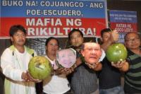 SC rules with finality, Grace Poe can run