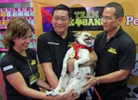 Hero's welcome awaits now famous dog Kabang in Zamboanga