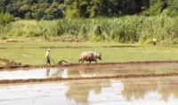 DENR all set for Mindanao environment summit