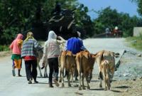 Palace condemns IED attack in Maguindanao